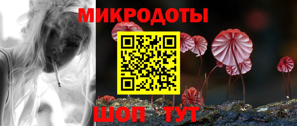 Галлюциногенные грибы Psilocybe  Вход с VPN  Новоалтайск 